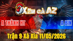 Trận 9 Xà Xía 11/05/2026 - Bướm Đâm Úa Ói Gục Đầu Chết Giữa Sân