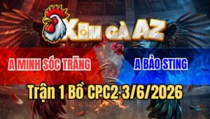 Trận 1 CPC2 3/6/2026: Gà Điều Bảo Sting Chưa Kịp Làm Gì Đã Nằm Thở Oxy