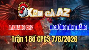 Trận 1 CPC3 7/6/2026: Bướm Vừa Ra Sân Dính Đầu Tiên Đăng Xuất Luôn