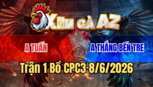 Trận 1 CPC3 8/6/2026: Gà Anh Thắng Vừa Mở Bát Đã Bị Đá Chạy Mất Dép