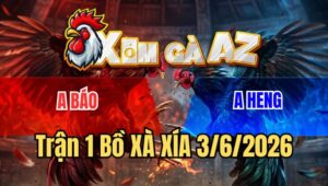 Trận 1 Xà Xía 3/6/2026: Bướm Luồng Đá Cây Lưng Úa Ói Chết Dưới Chân