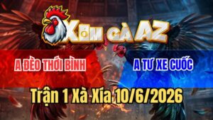 Trận 1 Xà Xía 19/6/2026: Gà Cú Trả Lại Mấy Chân Hay Điều Té Biệt
