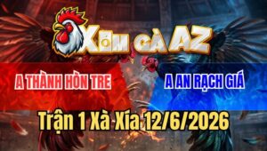 Trận 1 Xà Xía 12/6/2026: Khét Đá Như Cái Máy Điện Xám Té Sau Vài