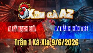 Trận 1 Xà Xía 9/6/2026: Que Chân Chì Tiễn Gà Xám Lỳ Đòn Về Nơi An Nghỉ