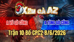 Trận 10 CPC2 8/6/2026: Bướm Đâm Như Giã Gạo, Cú Nằm Im Chịu Trận