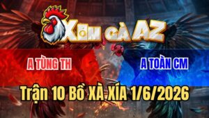 Trận 10 Xà Xía 1/6/2026: Điều Anh Toàn Đâm Bướm Bỏ Chạy Mất Dép