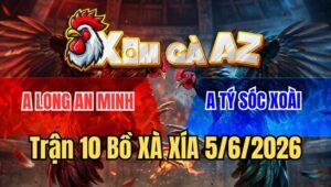 Trận 10 Xà Xía 5/6/2026: Điều Tích Tàu Đá Cựa Như Cái Máy Sới