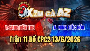 Trận 11 CPC2 13/6/2026: Gà Cú Tải Cựa Quá Tốt, Bướm Thấm Tang Nằm Đống