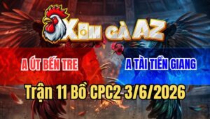 Trận 11 CPC2 3/6/2026: Cú Đá Như Cây Đập Điều Cứng Mình Sửa Hết Nổi