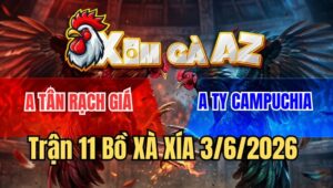 Trận 11 Xà Xía 3/6/2026: Khét Hiệu Tải Cựa Như Trâu Đâm Như Quỷ