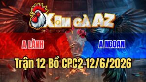 Trận 12 CPC2 12/6/2026: Điều Đá Đúng 3 Chân Xám Sụm Tỳ Xách Đuôi Ra