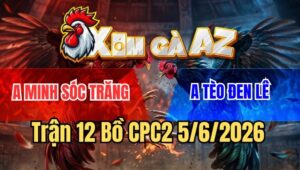 Trận 12 CPC2 5/6/2026: Gà Úa Anh Minh Tung Chân Phản, Điều Tử Trận