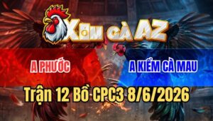 Trận 12 CPC3 8/6/2026: Điều Anh Kiểm Nhỏ Mà Đâm Ác, Mấy Chân Lụm Tiền