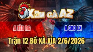 Trận 12 Xà Xía 2/6/2026: Bướm Anh Tèo Đâm Gà Que Không Trượt Phát Nào