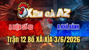 Trận 12 Xà Xía 3/6/2026: Bướm Nạp Cựa Như Máy Điều Trả 1 Chân Hư Giò