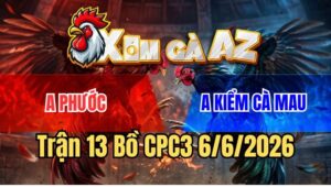 Trận 13 CPC3 6/6/2026: Điều Anh Kiểm Tắt Điện Hoàn Toàn Trước Gà Cọp