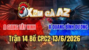 Trận 14 CPC2 13/6/2026: Đỏ Ra Chân Tàn Khốc, Phá Nát Cặp Giò Đối Thủ