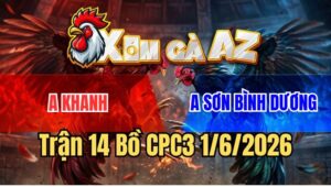 Trận 14 CPC3 1/6/2026: Bướm Đá Phát Nào Điều Dính Chết Phát Đó