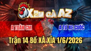 Trận 14 Xà Xía 1/6/2026: Khét Nạp Cây Lưng Điều Buông Chạy Bay Bồ