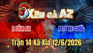 Trận 14 Xà Xía 12/6/2026: Đỏ Canh Chặn Đâm Đầu Xanh Chết Trong Chân