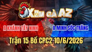 Trận 15 CPC2 10/6/2026: Điều Cọp Chồng Độ Đá Bướm Hộc Máu Chạy Chết