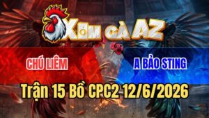 Trận 15 CPC2 12/6/2026: Bướm Chú Liêm Chồng Độ 3 Hạ Khét Cọp Bảo Sting