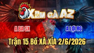 Trận 15 Xà Xía 2/6/2026: Bướm Canh Chặn Đá Cây Xám Té Sách Đuôi Về Mức