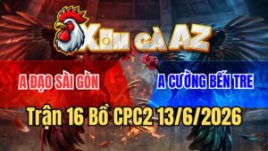 Trận 16 CPC2 13/6/2026: Bướm Anh Cường Ngấm Máu Đâm Điều Tốc Chạy