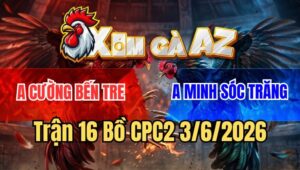 Trận 16 CPC2 3/6/2026: Xanh Trả Một Cây Ngay Tim, Đỏ Ngã Ngửa Ói Chết