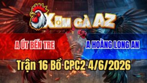 Trận 16 CPC2 4/6/2026: Bướm Anh Hoàng Toàn Đâm Mu Lưng Thứ Gì Chịu Nổi