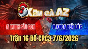 Trận 16 CPC3 7/6/2026: Đỏ Quá Dầy Xanh Vô Đâm Không Thấm