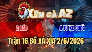 Trận 16 Xà Xía 2/6/2026: Gà Anh Báo Chồng Độ Đá 2 Dao Hạ Úa Đá 1 Dao