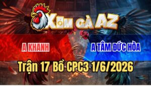Trận 17 CPC3 1/6/2026: Bướm Anh Khanh Đá Chân Nào Xanh Ói Tiền Chân Đó