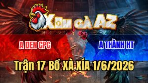 Trận 17 Xà Xía 1/6/2026: Bướm Đá Cái Thứ 3 Vừa Nhấp Mấy Chân Điều Chạy