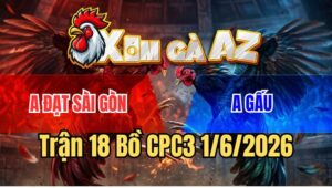Trận 18 CPC3 1/6/2026: Khét Cọp Sài Gòn Đâm Điều Cái Mình Như Tổ Ong