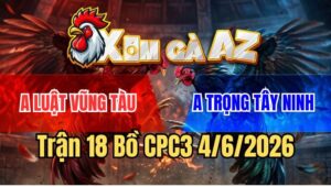 Trận 18 CPC3 4/6/2026: Điều Đá Như Sam Sít, Que Đút Vô Là Banh Xác