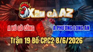 Trận 19 CPC2 8/6/2026: Vô Trong Khét Đâm Đầu Cần, Gà Vàng Té Hết Cứu