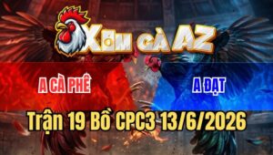 Trận 19 CPC3 13/6/2026: Ô Gồng Tưởng Phản Ai Dè Điều Đá Thêm Cây Chạy