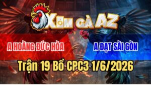 Trận 19 CPC3 1/6/2026: Bướm Đá Điều Gãy Cổ Đăng Xuất Ngay Tại Chỗ