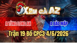 Trận 19 CPC3 4/6/2026: Gà Bướm Anh Tùng Ăn Hên Nhờ Chân Xạo Lờ