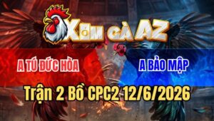 Trận 2 CPC2 12/6/2026: Bướm Bảo Mập Trước Khi Chết Vẫn Kịp Lấy Cái Xổ