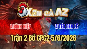 Trận 2 CPC2 5/6/2026: Bướm Cọp Anh Tèo Đen Đá Chân Nào Tiền Về Chân Đó
