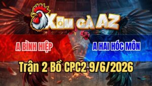 Trận 2 CPC2 9/6/2026: Camelo Đá 10 Chân Không Bằng Xám Đá 1 Chân
