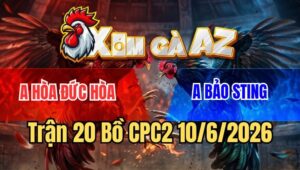Trận 20 CPC2 10/6/2026: Bướm Hiệu Bảo Sting Đá Đúng 1 Chân Là Lụm Tiền