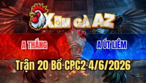Trận 20 CPC2 4/6/2026: Đám Bướm Anh Út Liêm Đâm Cựa Quá Nghiệt