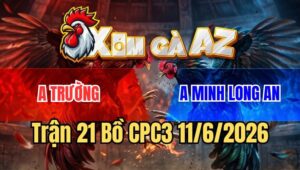 Trận 21 CPC3 11/6/2026: Que Có Chân Phản, Giết Không Được Camelo Má