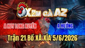 Trận 21 Xà Xía 5/6/2026: Xanh Đá Như Cái Máy, Giao Mấy Chân Có Kết Quả