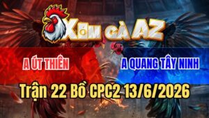 Trận 22 CPC2 13/6/2026: Xám Chồng Độ Đá Trên Dưới Hạ Đối Thủ Nhanh Gọn