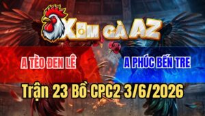 Trận 23 CPC2 3/6/2026: Cú Dí Bạc Cho Cố Bị Điều Đá Bể Đầu Hết Đường Về