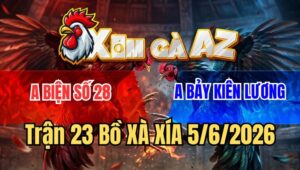 Trận 23 Xà Xía 5/6/2026: Đỏ Lên Chân là Thấy Cựa Bưng Xanh Ra Gọn Gàng